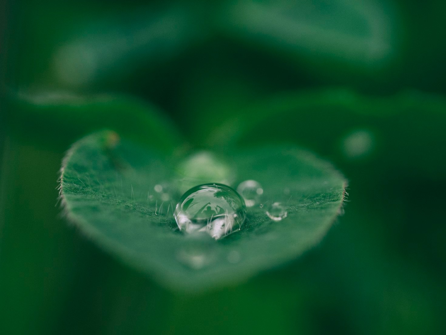 The Role of Sustainability in Modern Development
