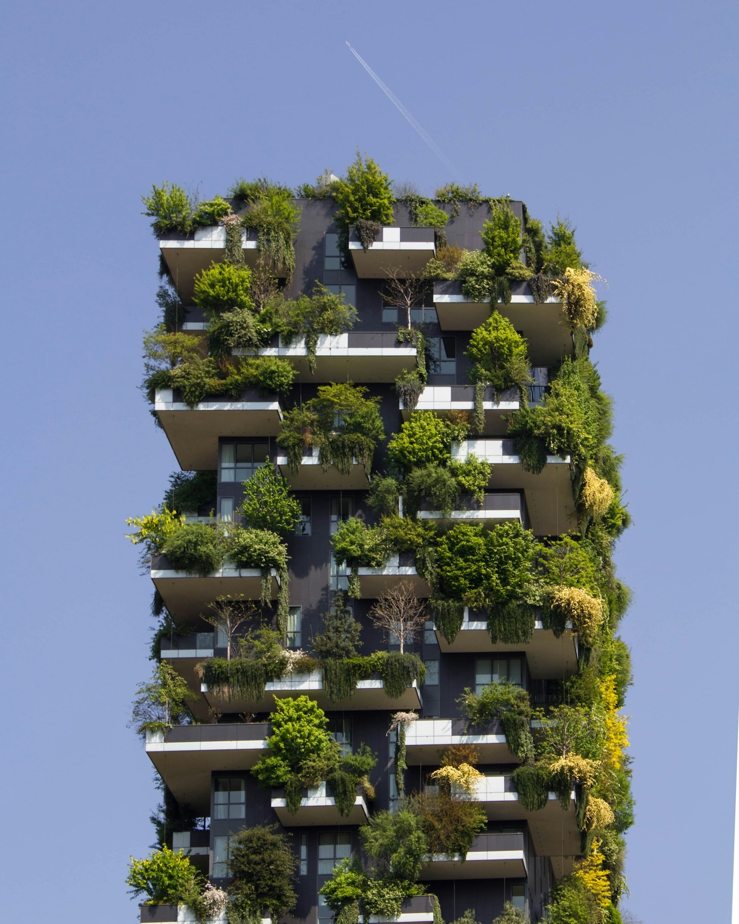Building Stronger Communities Through Sustainable Solutions