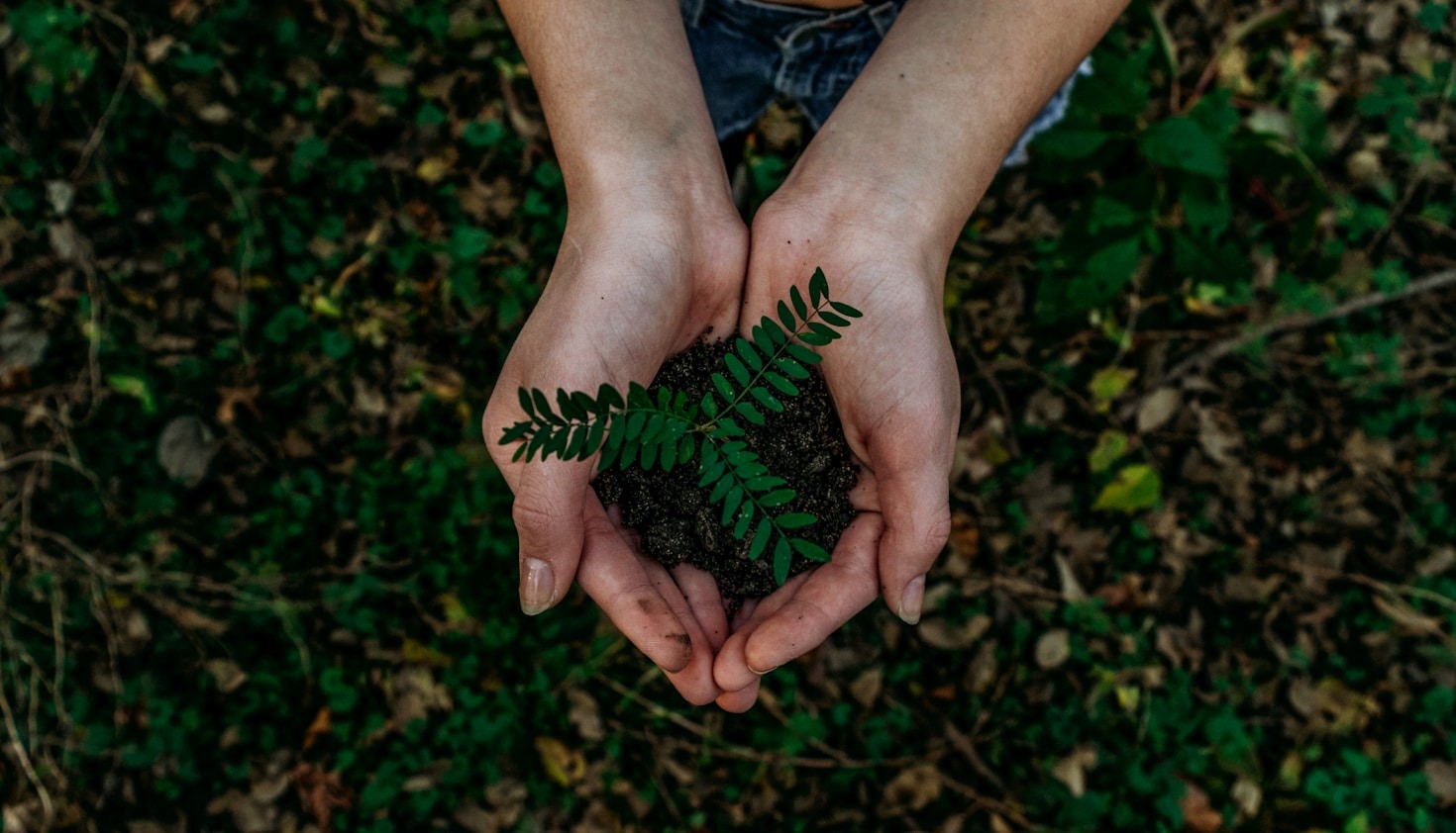 Sustainable Development Goals and Their Impact Locally